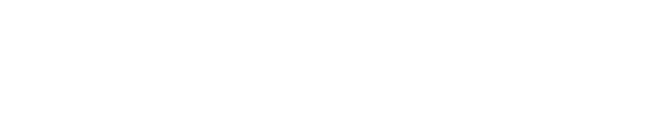 logo Napoleon casino